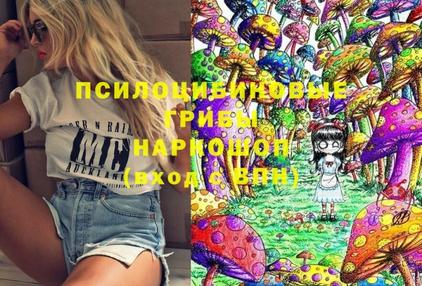 хмурый Богородицк